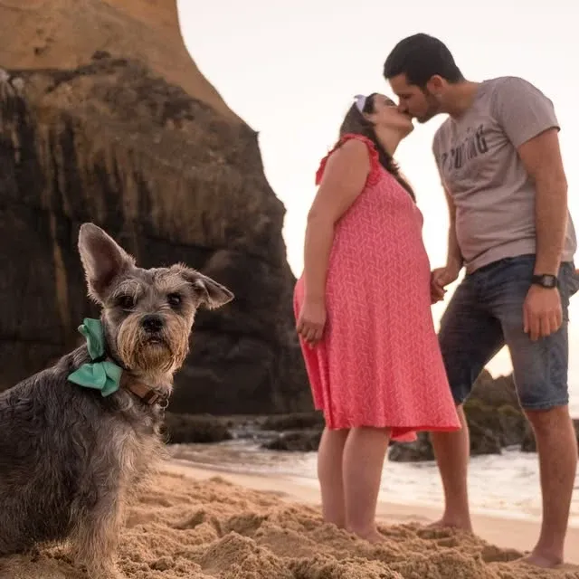 Casal à espera de um bebé, acompanhado pelo seu cão