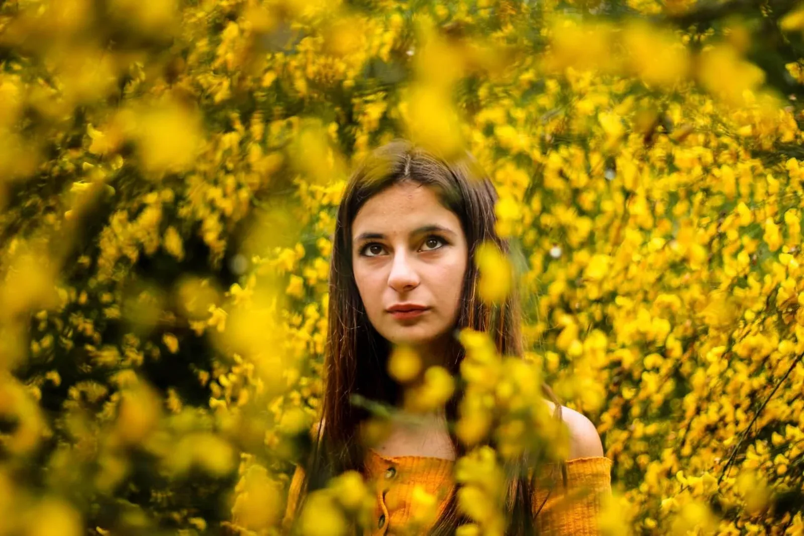 Retrato de uma mulher rodeada de flores amarelas